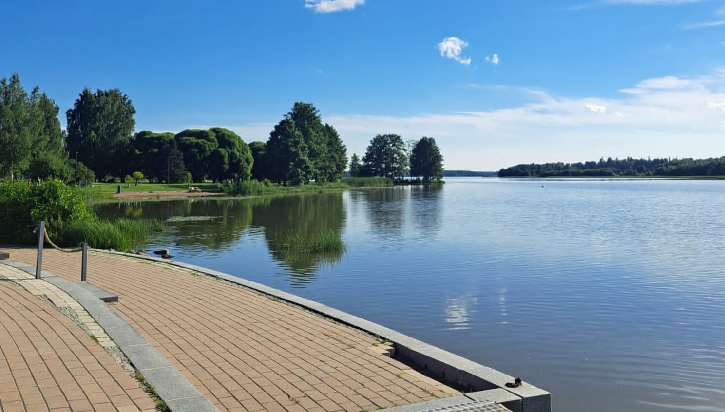 Peilityyni järven pinta, laituri ja taustalla puita.